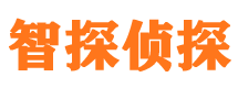 剑阁外遇出轨调查取证